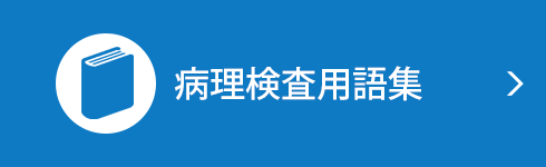 病理検査用語集